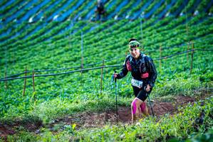 BIB: 9293
                            <button type="button" onclick="openModal(19160028)" class="btn btn-primary btn-sm float-right btn-popup" data-toggle="modal" data-target=".modal-high-quality">
                        <i class="fas fa-shopping-cart"></i> Add to Cart
                    </button>
                                            <button type="button" onclick="isThisMe(19160028, true)" class="btn btn-success btn-sm float-right btn-popup btn-isme hidden" data-toggle="tooltip" data-placement="bottom" title="นี่คือรูปของคุณใช่ไหม คลิกที่นี่เพื่อเอาเข้าอัลบั้ม">
                        <i class="fas fa-plus"></i> Add to album
                    </button>
                    <button type="button" onclick="isThisMe(19160028, false)" class="btn btn-warning btn-sm float-right btn-popup btn-isnotme hidden">
                        <i class="fas fa-ban"></i> Remove from album
                    </button>